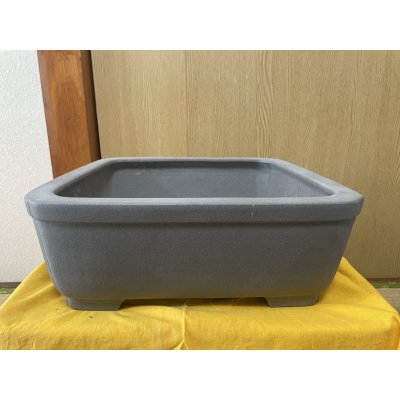 画像1: No.SA6434 喜仙　13号正角隅入上帯　ネズ