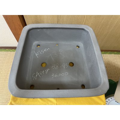 画像2: No.SA6434 喜仙　13号正角隅入上帯　ネズ