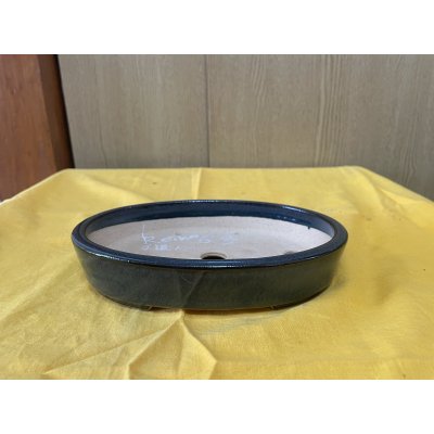 画像1: No.SA6440 黎鳳　手造り　6号小判切立　ナマコ