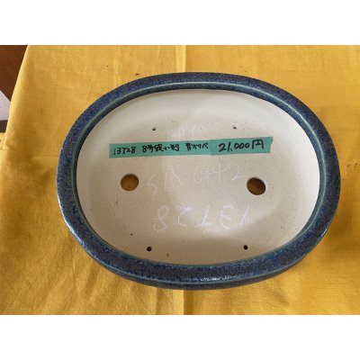 画像2: No.SA6442 鴻陽　8号袋小判　青オリベ