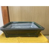 No.SA6450 真山　14号額入