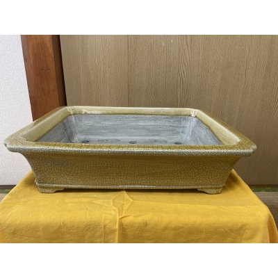 画像1: No.SA6452 真山　15号