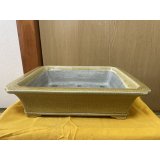 No.SA6453 真山　長方13号