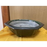 SA6454  真山　輪花　10号