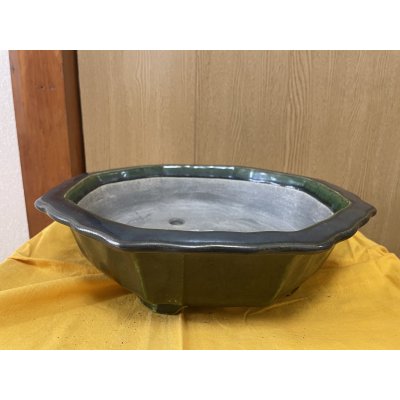 画像1: SA6454  真山　輪花　10号