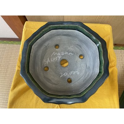 画像2: SA6454  真山　輪花　10号