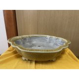 SA6455  真山　木瓜　13号