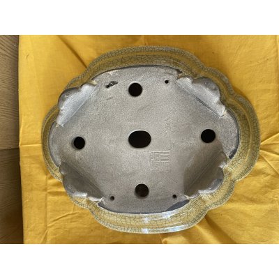 画像3: SA6455  真山　木瓜　13号