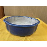 SA6468  真山　新型木瓜　8号