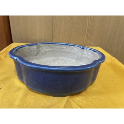 画像1: SA6468  真山　新型木瓜　8号