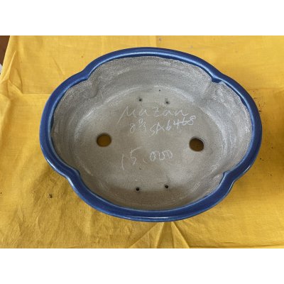 画像2: SA6468  真山　新型木瓜　8号