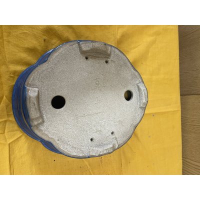 画像3: SA6468  真山　新型木瓜　8号