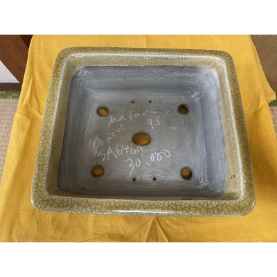 画像2: SA6469  真山　9.5号額入