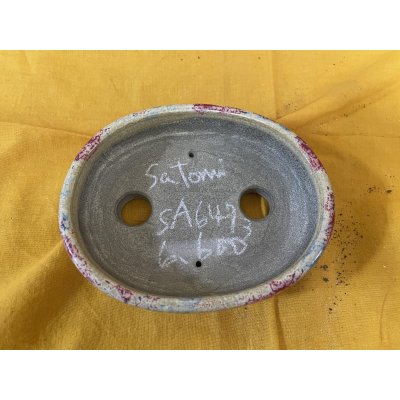 画像2: SA6473  里美　小判5号以下（赤ぼかし）