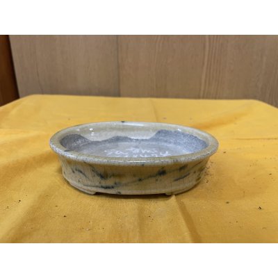 画像1: SA6474  里美　小判5号以下（三色）