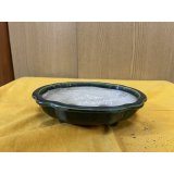 SA6475  里美　木瓜（小）