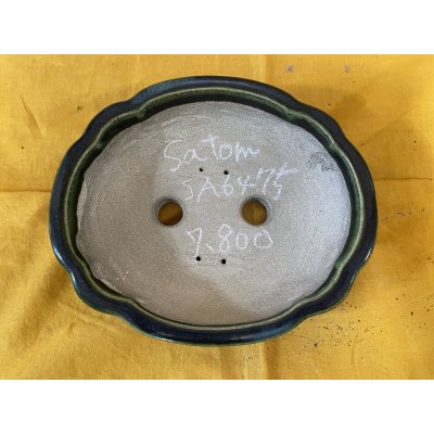 画像2: SA6475  里美　木瓜（小）