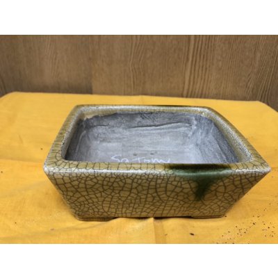 画像1: SA6481  里美　横長クモ足絵入り