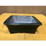 SA6483  里美　5.5号以下