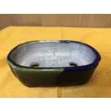 SA6485  里美　浅木瓜2色塗分け絵入り