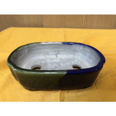 画像1: SA6485  里美　浅木瓜2色塗分け絵入り