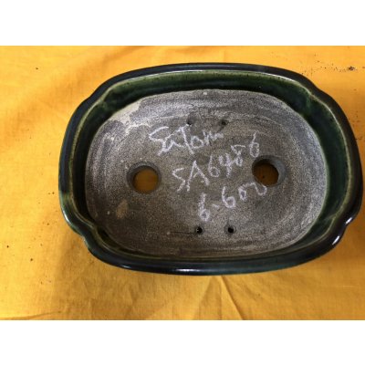 画像2: SA6486  里美　浅木瓜単色