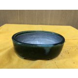 SA6487  里美　小判5号単色