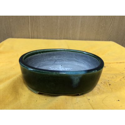 画像1: SA6487  里美　小判5号単色