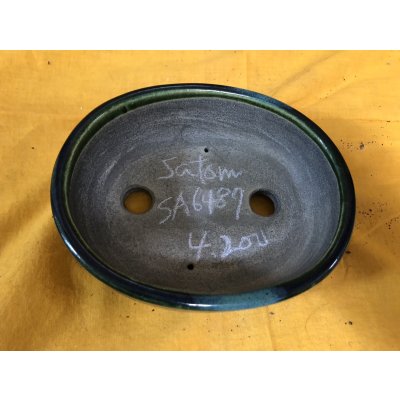 画像2: SA6487  里美　小判5号単色