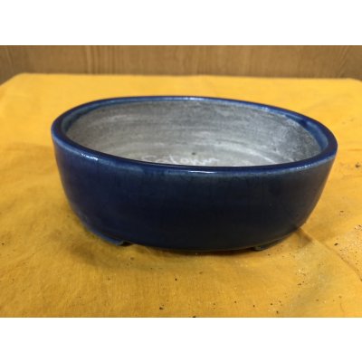 画像1: SA6488  里美　小判5号単色