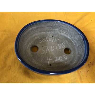 画像2: SA6488  里美　小判5号単色