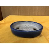 SA6490  里美　小判5号単色