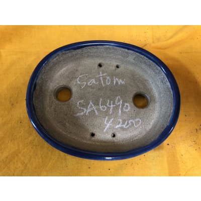 画像2: SA6490  里美　小判5号単色