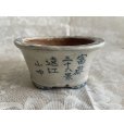 画像2: No.MA6531 <br>陶翠 (2)