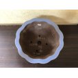 画像2: No.YA3764 <br>山秋 (2)
