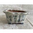 画像3: No.MA6536 <br>陶翠 (3)