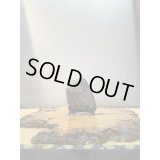 No.HA3501  菊花石