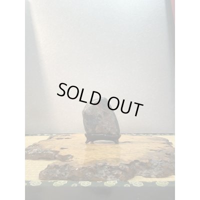 画像1: No.HA3501  菊花石