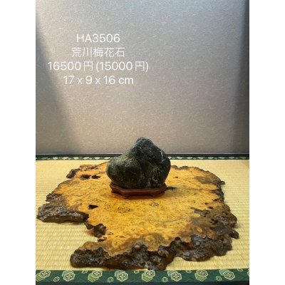 画像7: No.HA3506  荒川梅花石