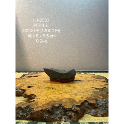 画像6: No.HA3507  瀬田川石