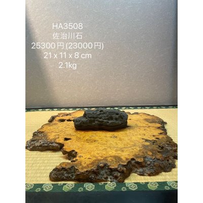 画像6: No.HA3508  佐治川石