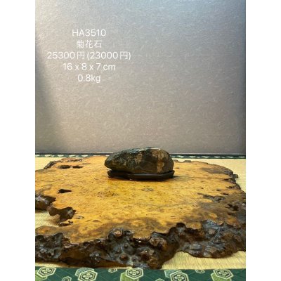 画像6: No.HA3510  菊花石