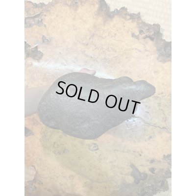 画像6: No.HA3512  只見川石