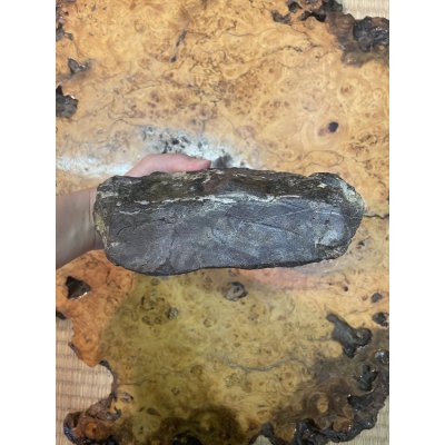 画像6: No.HA3517  菊花石