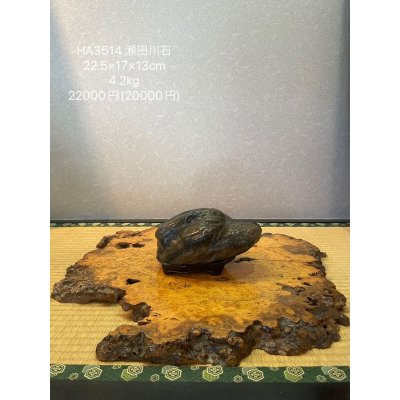 画像8: No.HA3514  瀬田川石