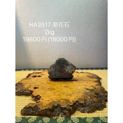 画像7: No.HA3517  菊花石