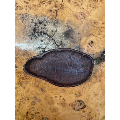 画像6: No.HA3522  （産地不明）