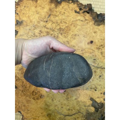 画像7: No.HA3522  （産地不明）