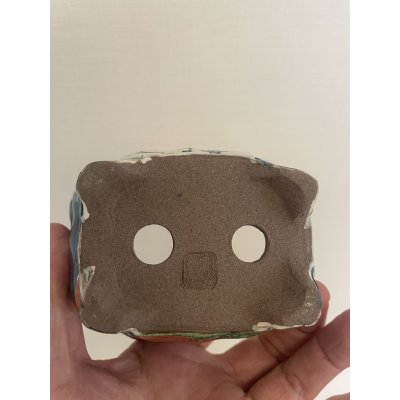 画像4: No.TB0604  陶酔　盆栽鉢