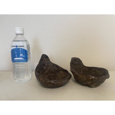画像2: No.TB0601  草物鉢　大小セット